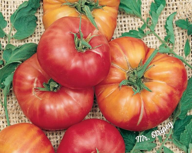 Mr. Stripey Tomato Seeds
